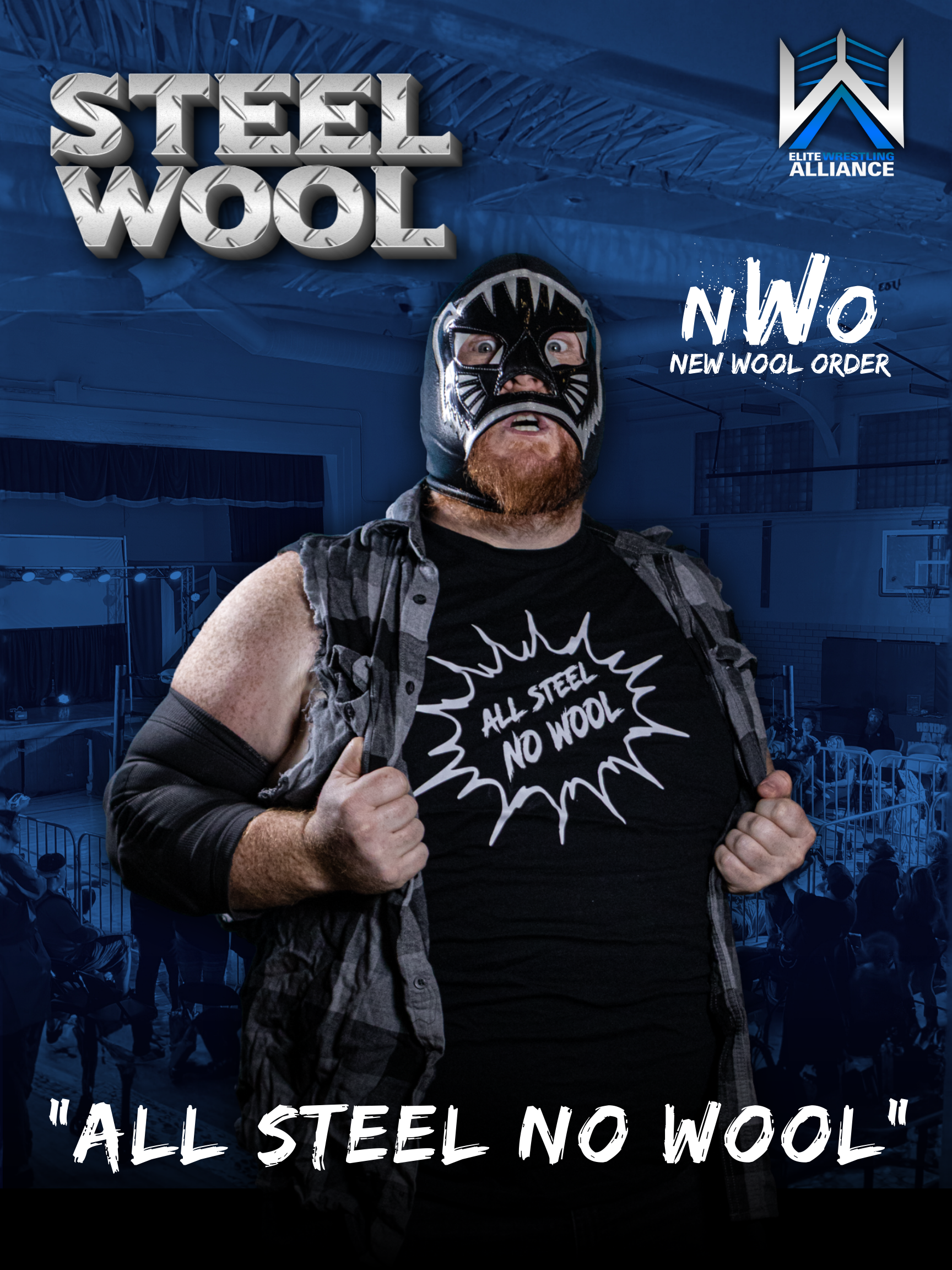 Steel Wool